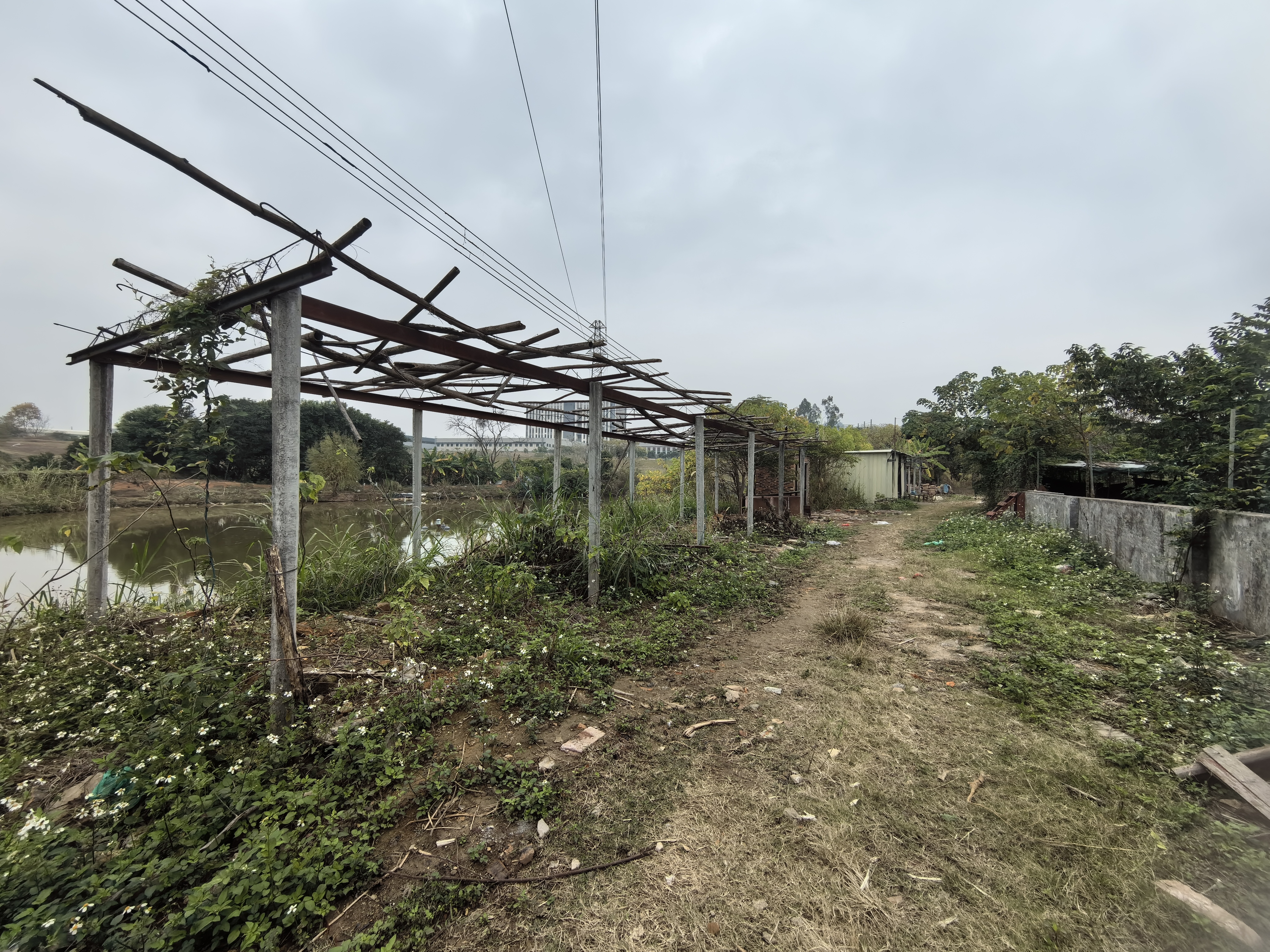 原房东土地出租，配套住宿，环境安静，适合养殖业，可拎包入住。1