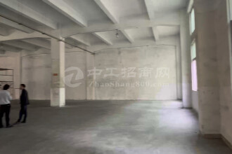 福永原房东一楼1150平厂房出租仓库出租低价出租实际面积