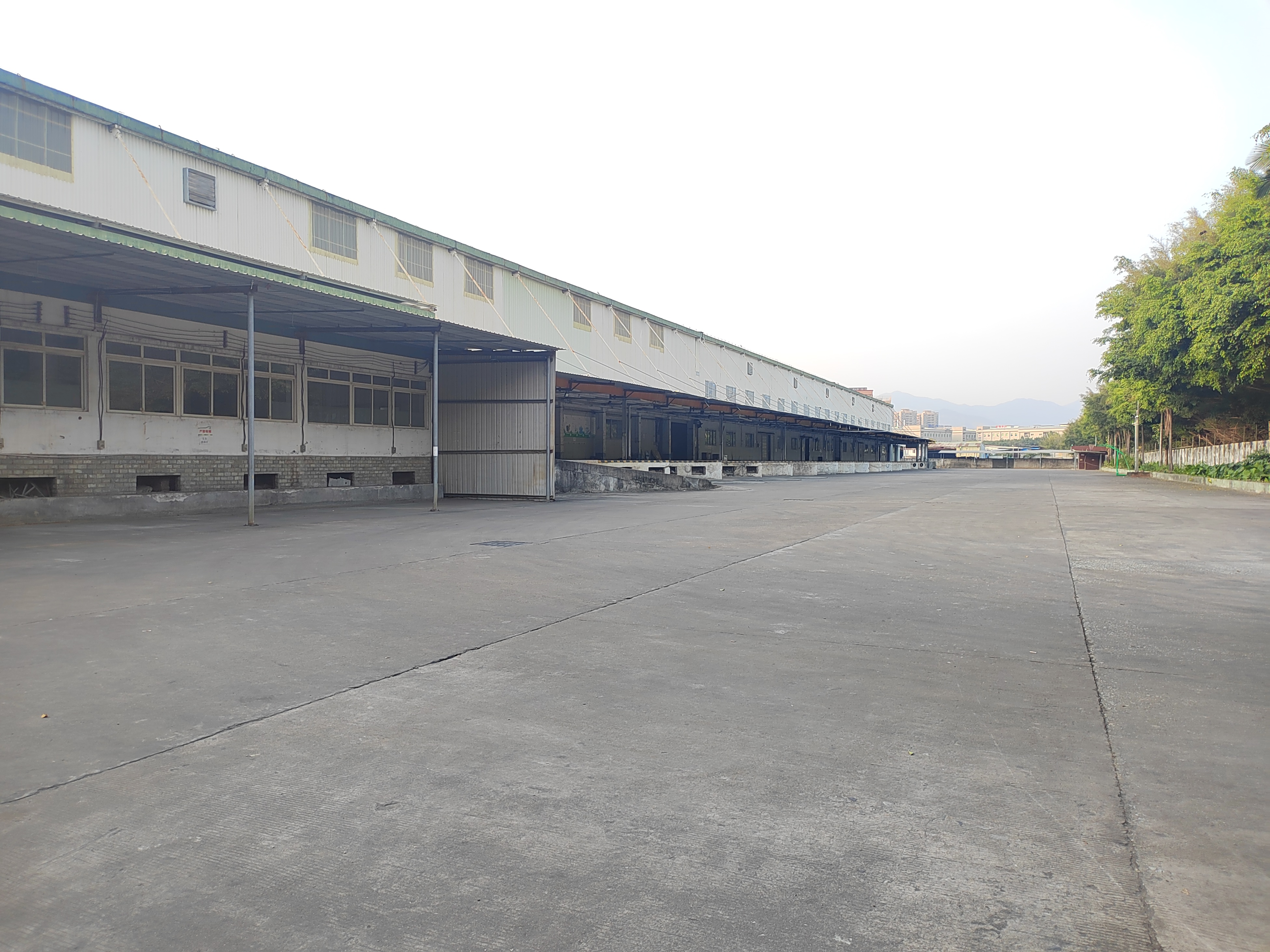 清溪独院单一层钢构16000平适合物流仓库空地大带卸货平台