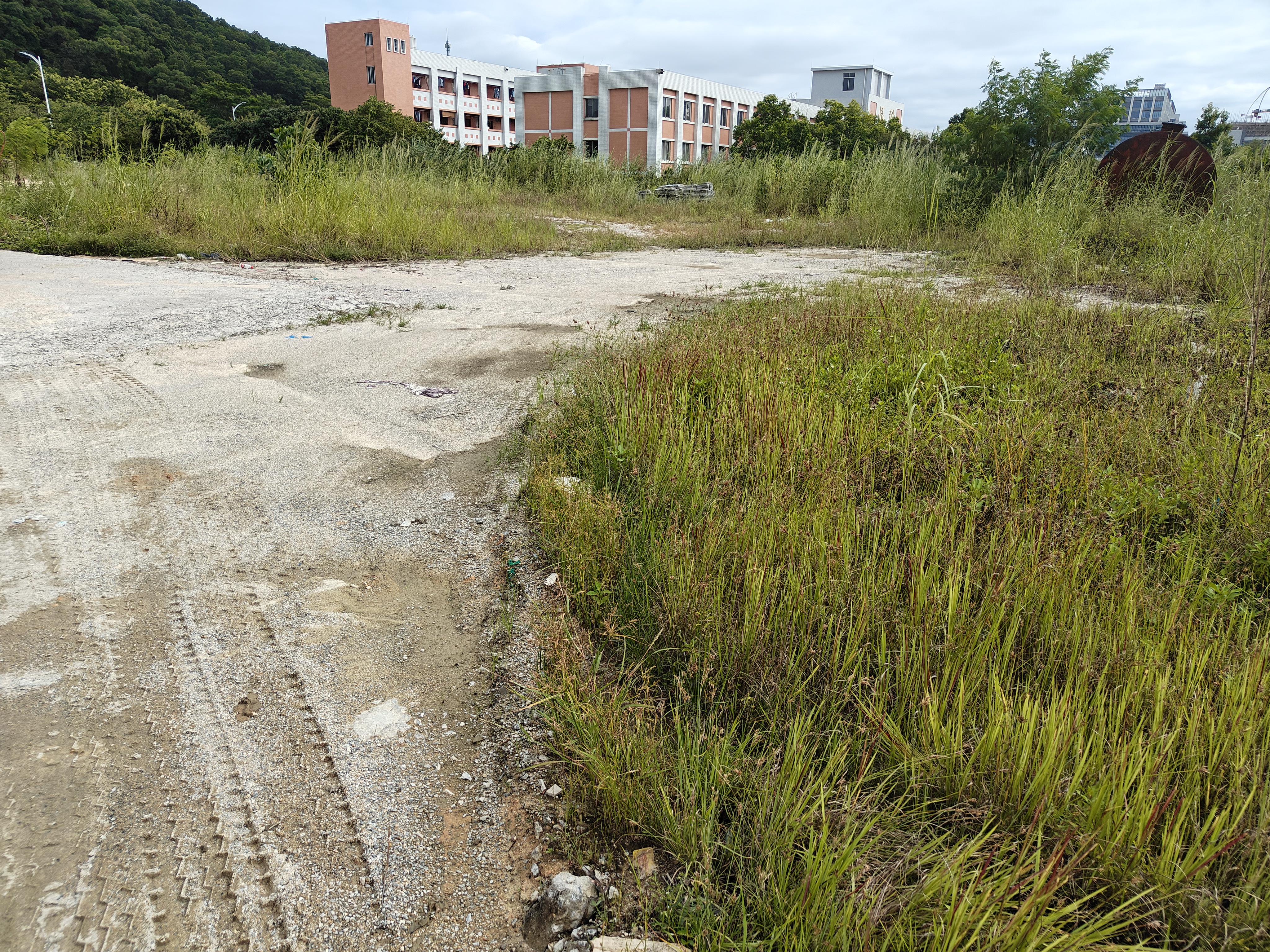 广州市增城区宁西空地10亩出租，可分租4