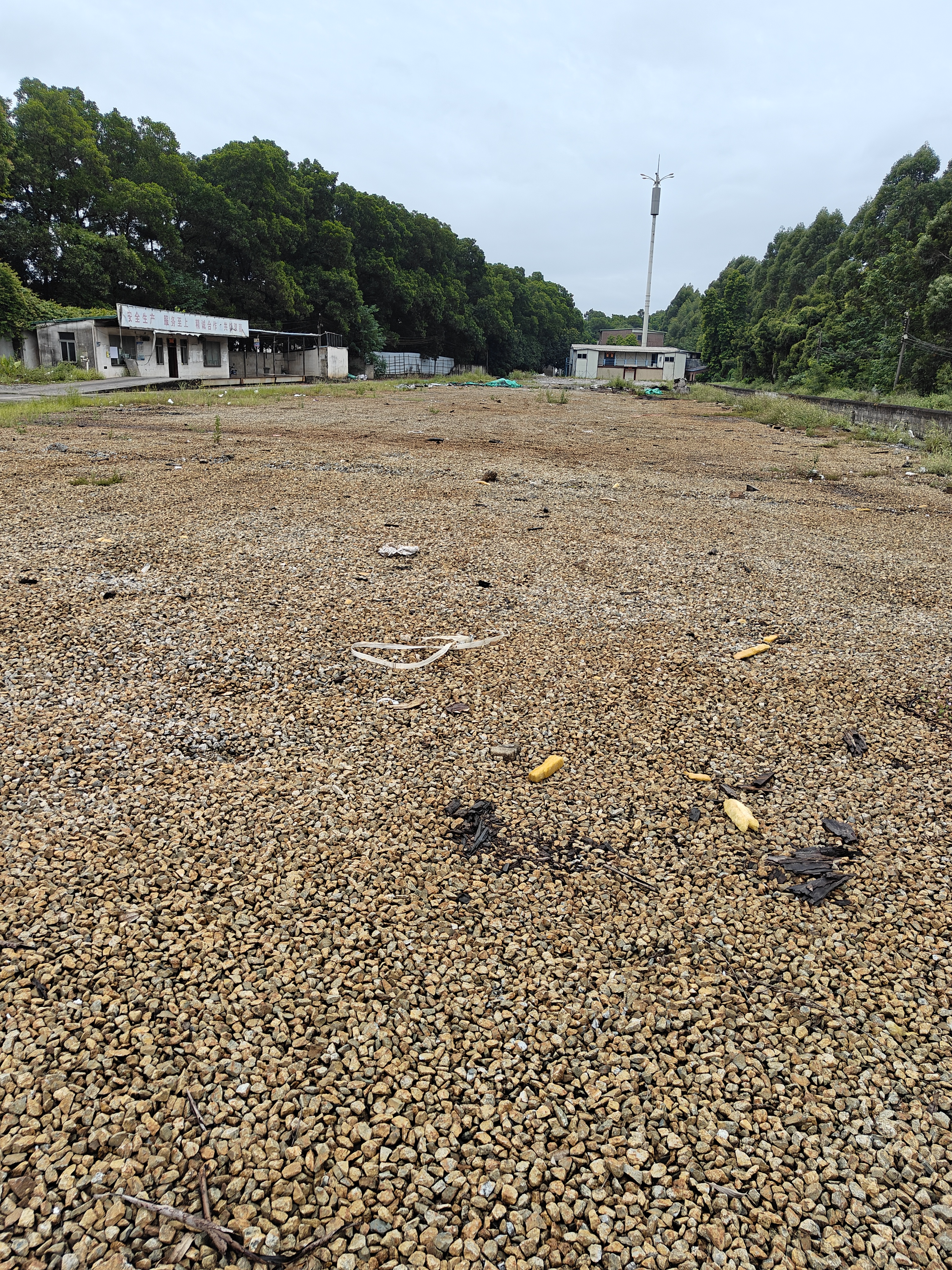 广州市增城区中新镇空地出租，可分租2