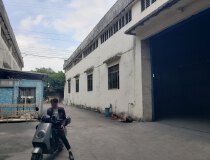 陈村工业区独栋单一层厂房900平方出租高度8米