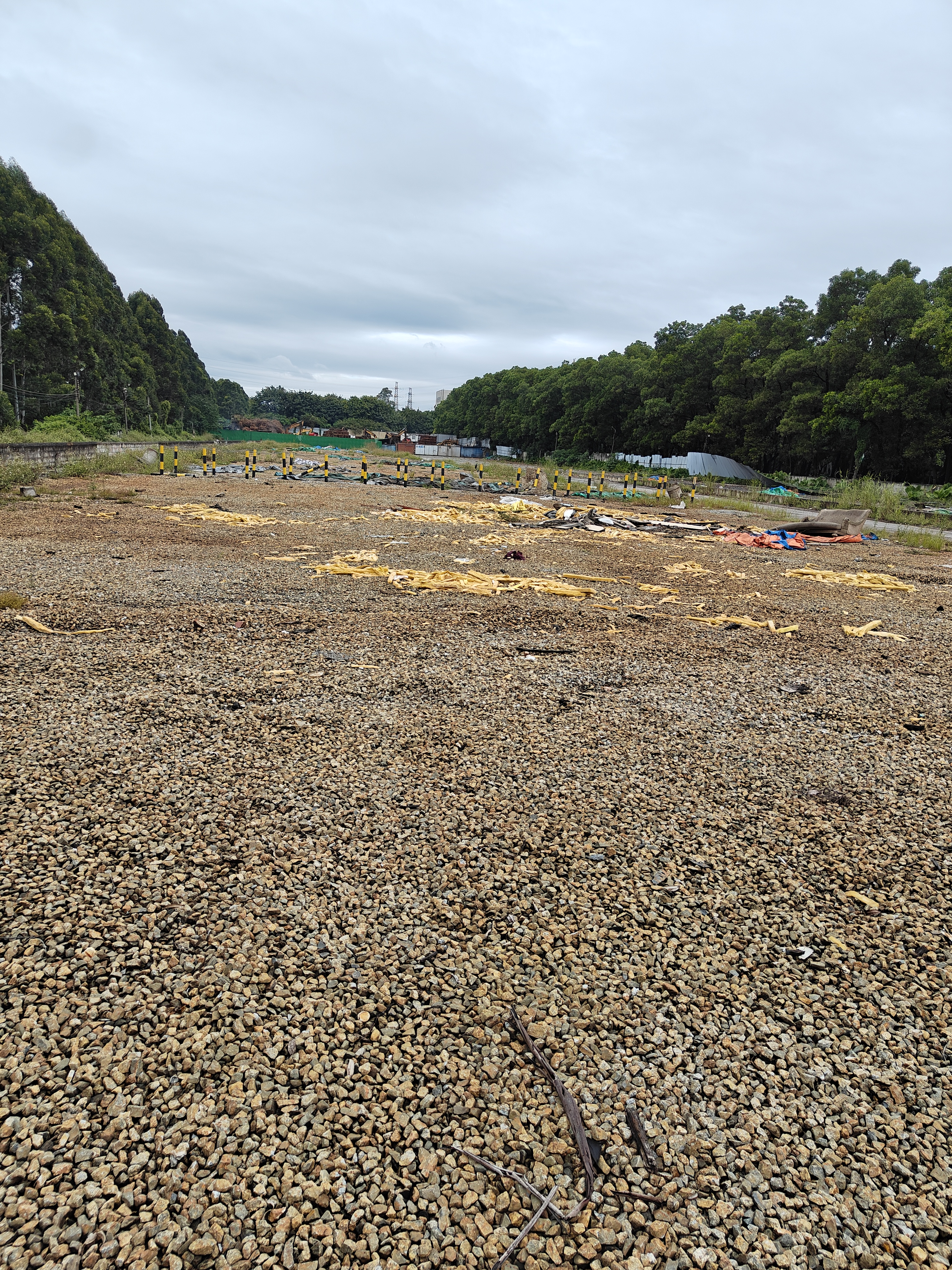 广州市增城区中新镇空地出租，可分租1