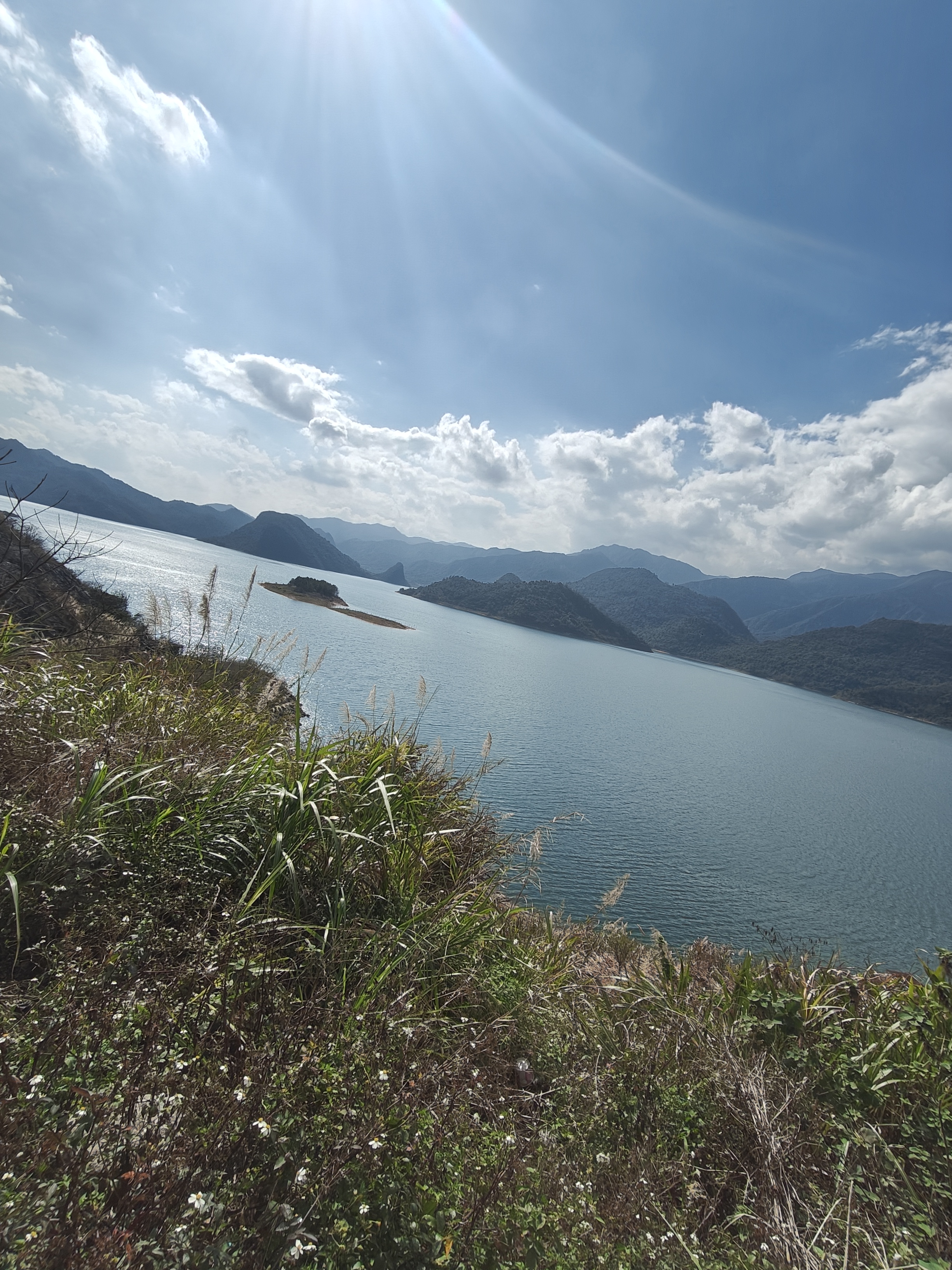 广州市增城区朱村林地30亩出租，可分租2