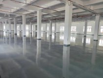 佛山顺德北滘国有证单一层滴水八米厂房出售