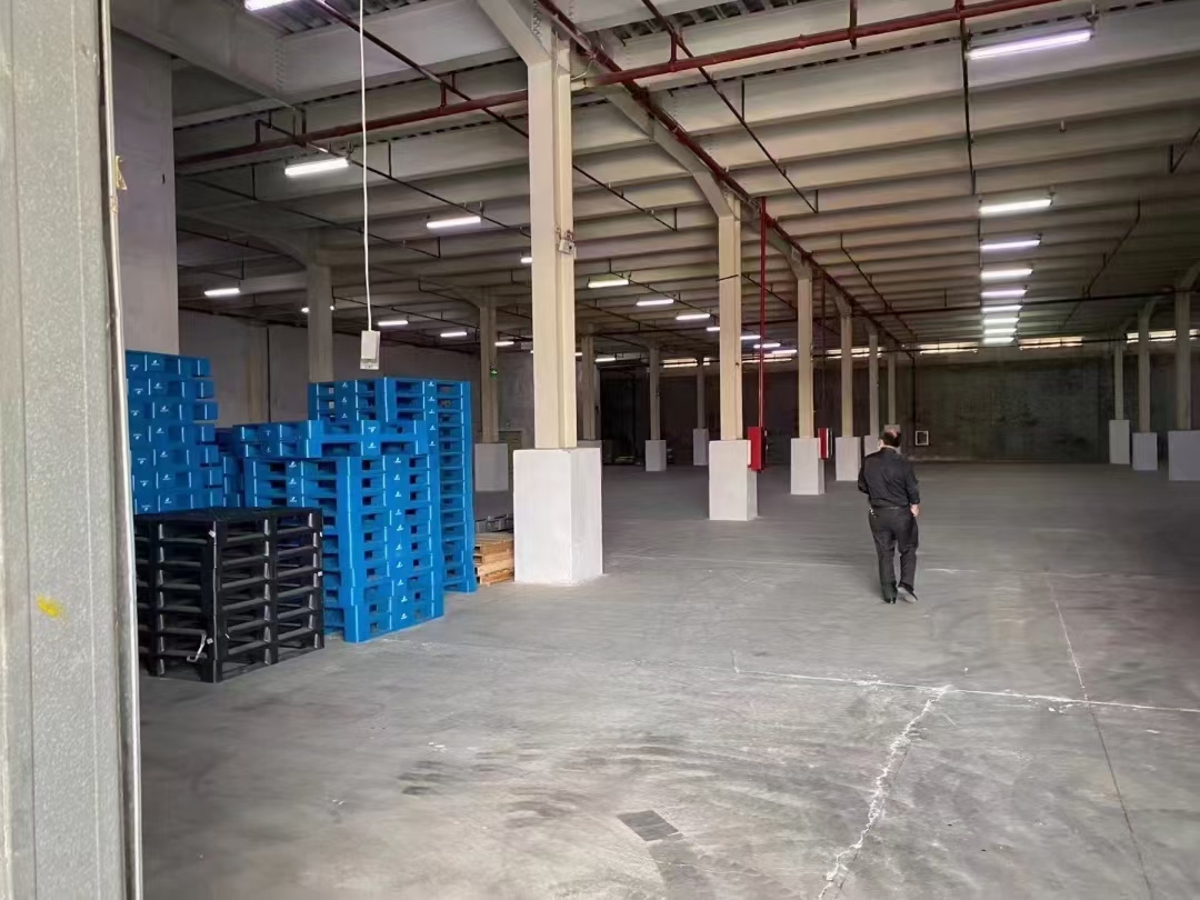 横岗新出标准物流仓库，10000平方米，可分租，带卸货平台
