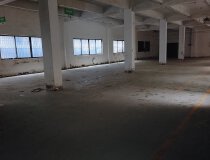 虎门镇北栅标准一楼800平米可做仓储生产加工五金设备厂房出租