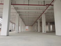 顺德容桂华口工业园区标准红本楼上6000平方米出租5吨货梯