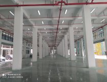 黄埔开发区全新一楼厂房2300平，层高8米，四面采光，可分租