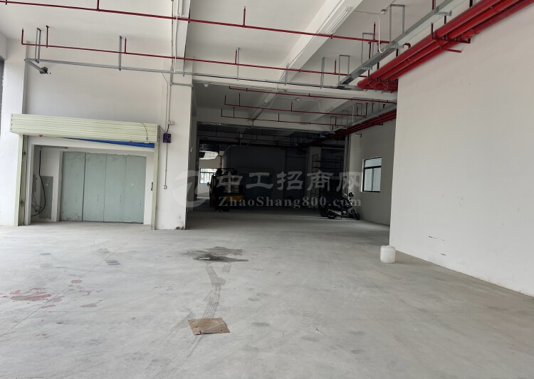 龙江镇全新商业模式楼出租3