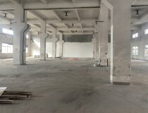 布吉丹竹头地铁站新出原房东一楼1000平价格便宜层高6.5米