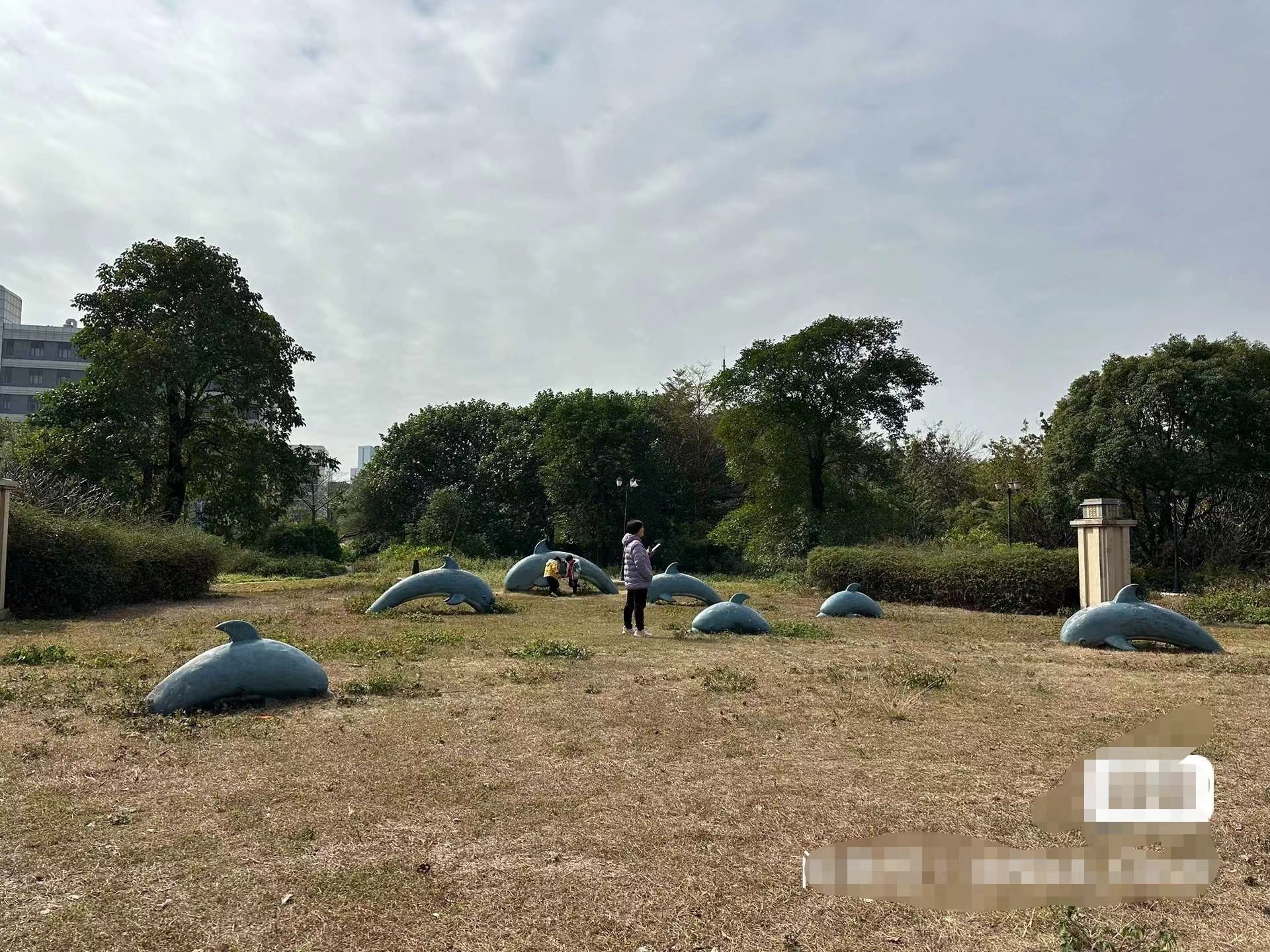 南沙区小区环绕，一线江景50亩空地租，可通水电，十亩起分租3