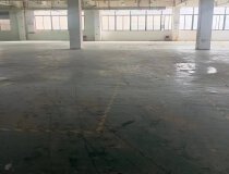 顺德区龙江镇新龙工业区标准厂房六楼2200方
