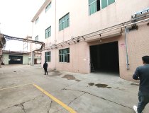 万江工业园标准一楼厂房出租，1100平，现成办公室装修厂房
