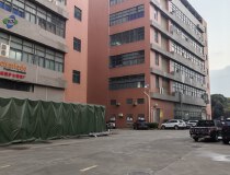 凤岗浸校塘1200平方一楼便宜厂房招租