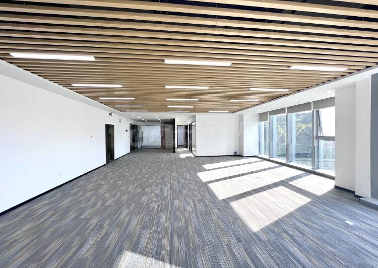 黄埔科学城全新精装修办公室120-360平，可整层整栋2