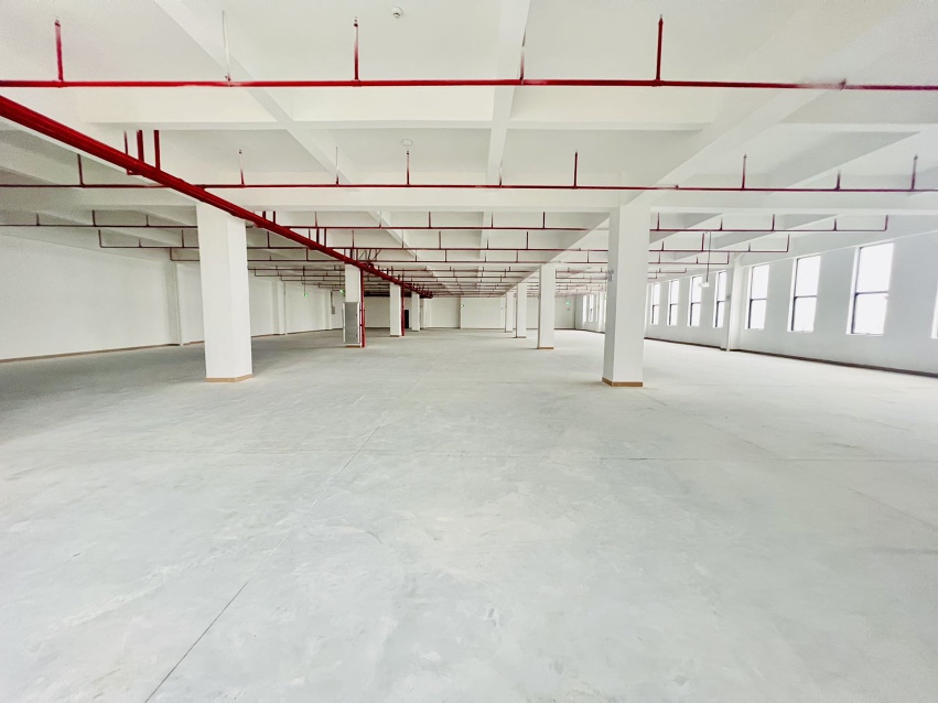 东凤天润物流附近一楼标准厂房仓库4500平方出租，可环评