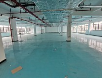 龙江工业园区标准厂房3楼1000平现成办公室地坪漆形象好