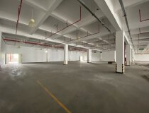 黄埔科学城新出标准厂房2700方层高5米可做研发办公