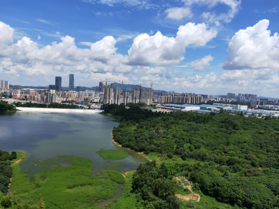 深圳龙岗坂田南坑地铁口星河world甲级写字楼出租1