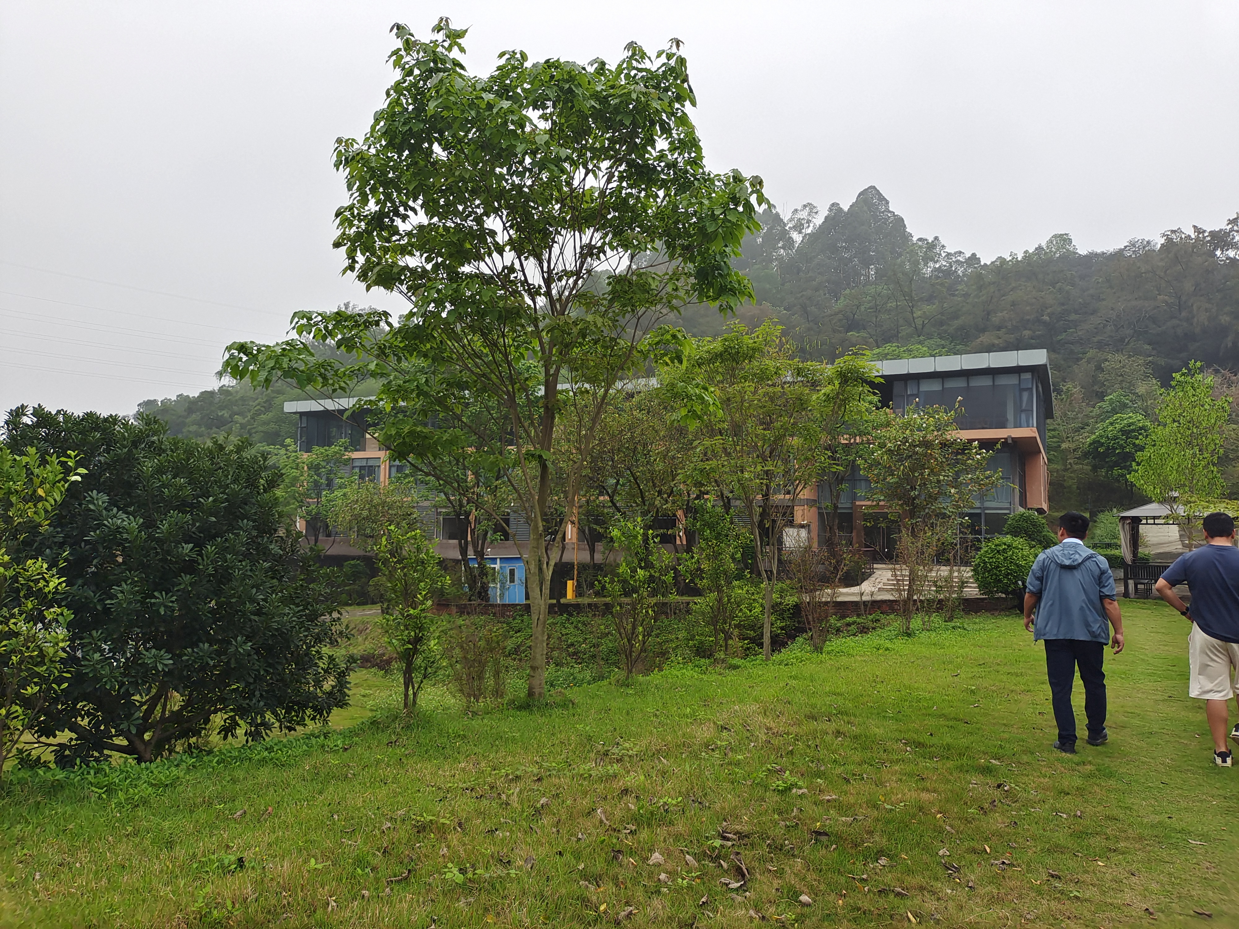 摄影基地，露营，首选4