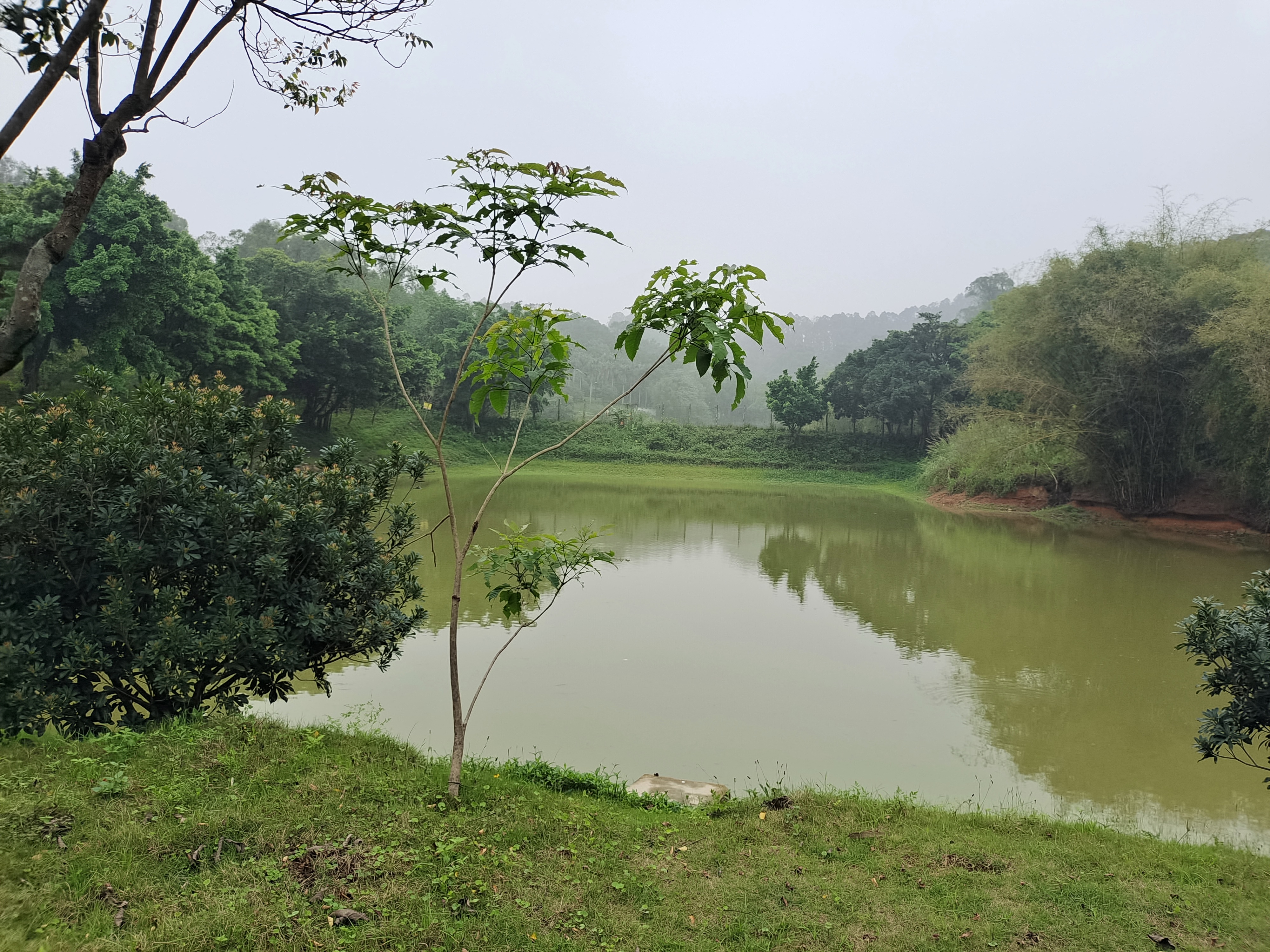 摄影基地，露营，首选6