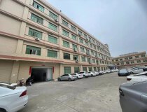 深圳空地超大花园式国有双证厂房15500平出售