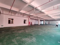 容桂华口1500方带地坪漆装修只租十元。