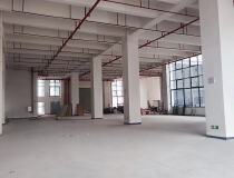 茶山镇新出一楼1200平方标准厂房出租，水电齐全。现成装修