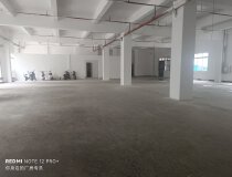 石碣镇工业园区一楼900平标准厂房出租高5米