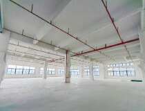 顺德容桂华口工业园区标准红本厂房楼上带牛角环评可办不限行业