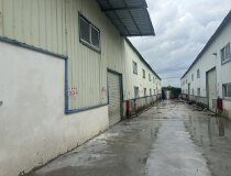 沥林镇古庄村独栋钢构厂房1050平方出租