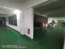 珠海市斗门区新青科技园厂房出租，带地坪漆有出货台