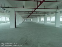 坦洲第一工业区标准厂房五楼，3600方，可分租1800方，