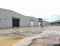 马安镇新湖工业区新出单一层钢构厂房出租面积10,500平米