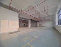 陈江原房东全新一楼800平方6.5米高低价出租