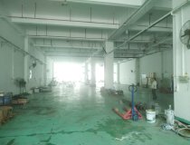 出租深圳坪山标准厂房一楼1050平方，有装修可大小分租。