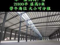 东莞高埗镇工业园单一层钢钩厂房21800平层高9米
