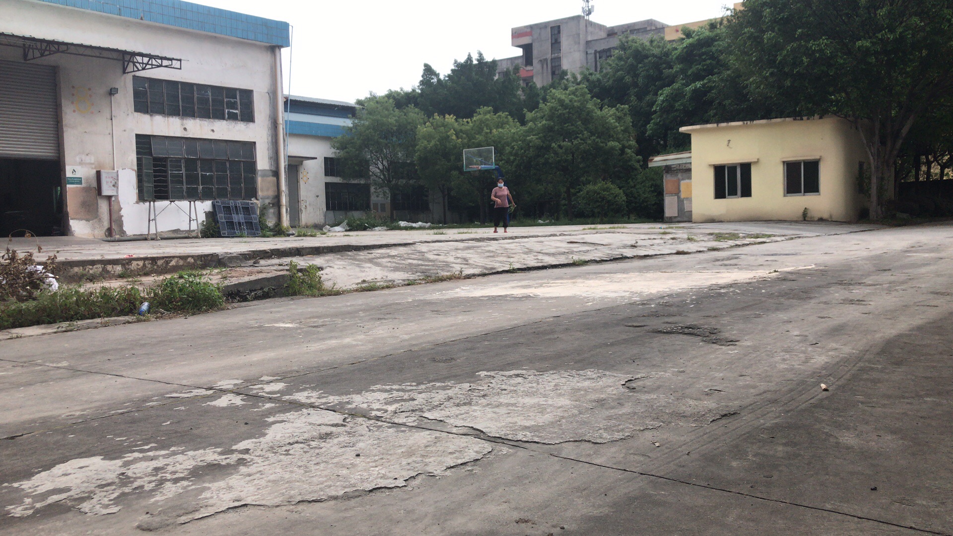 广州市从化区太平工业区厂房仓库出租