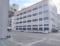 万江全新标准厂房5000平方，原房东直租，一楼层高6.5米