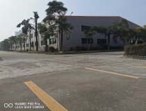 惠州惠东白花成熟工业园单一层钢构厂房面积5200平方高度9米