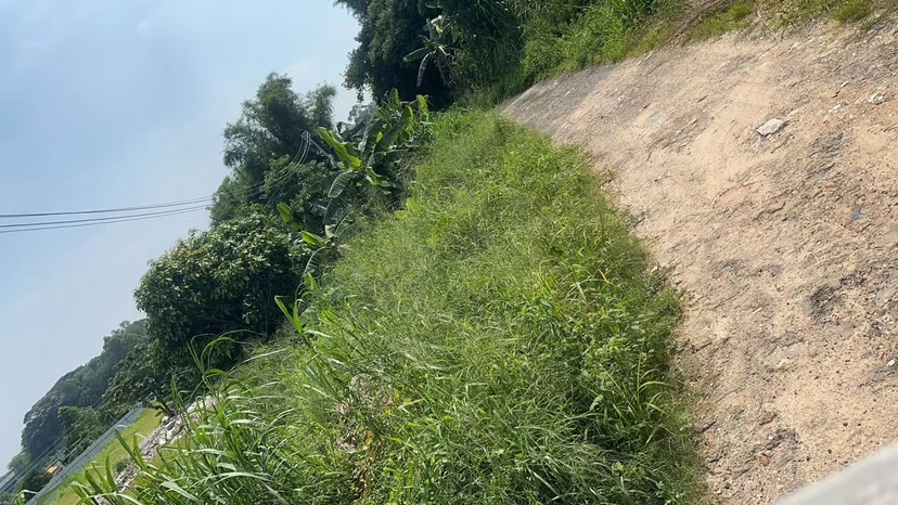 南村金山大道边独门独院空地出租，带简易厂房，可进大车1