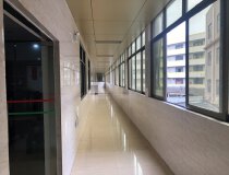 伦教原房东国有红本精装修办公室1-4层厂房加办公室出租