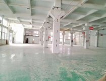 小塘三环西路厂房1700方现成办公地坪漆精装修