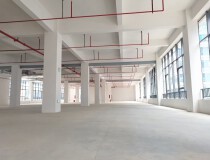 全新独栋厂房招租，红本可环评，近广州中大布匹市场