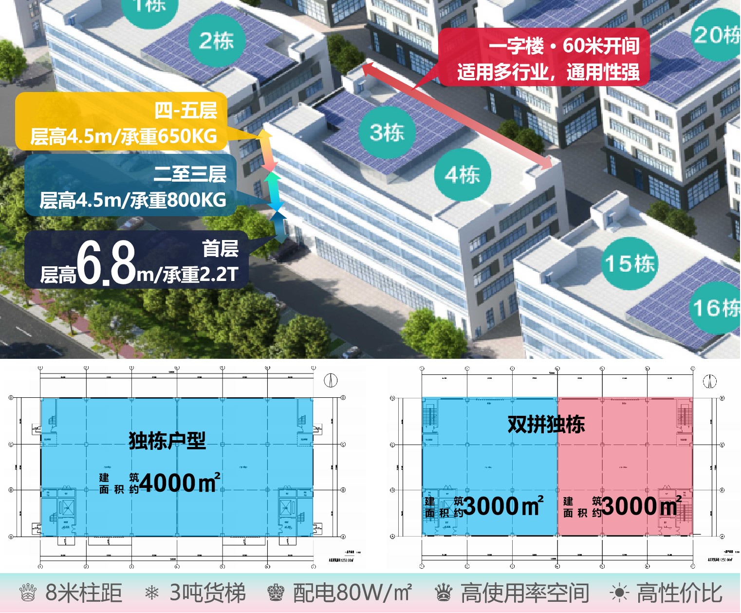 普通图片