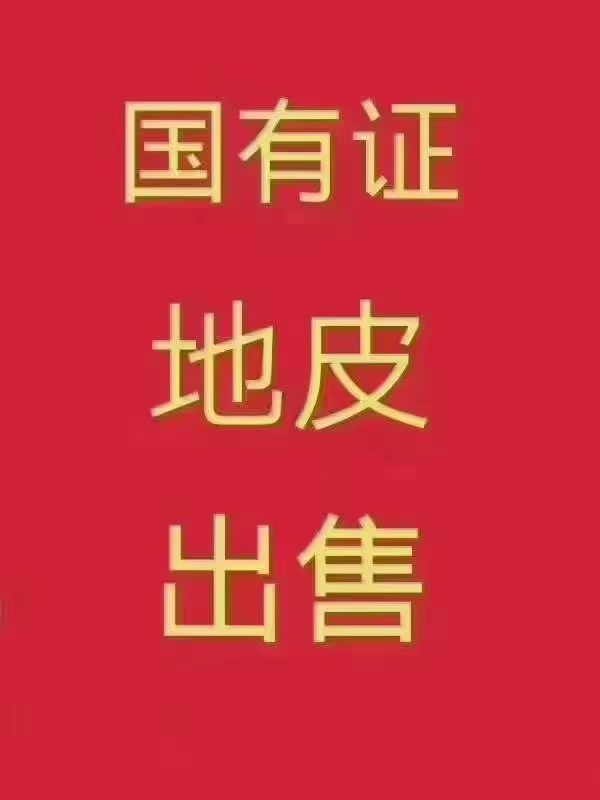 狮山松岗松夏工业园国有土地20亩出售3