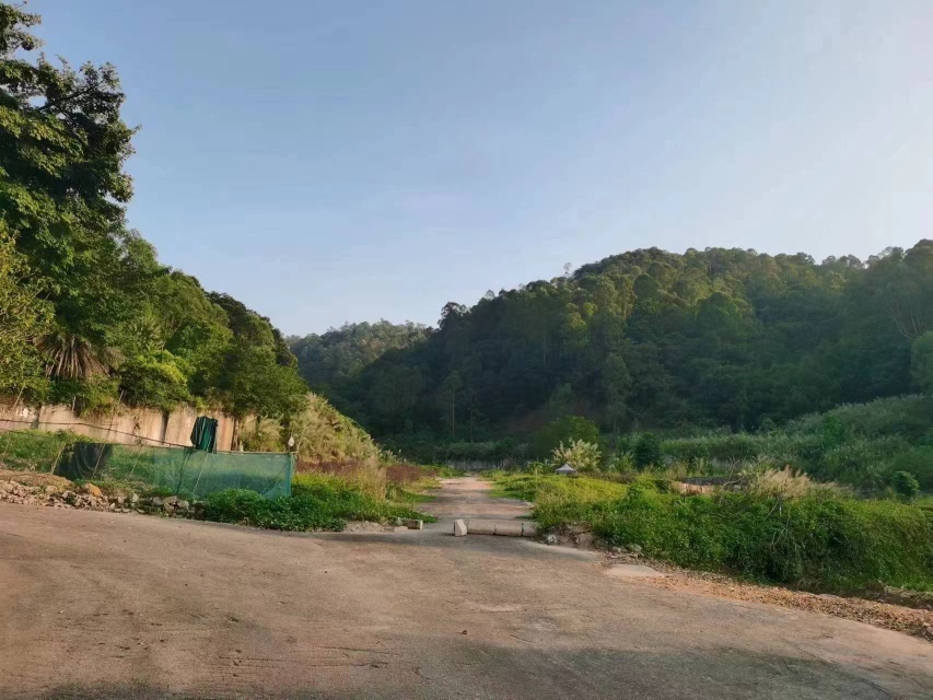 天河区龙洞空地1万方。2