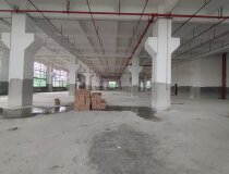 中山市东凤镇新出全新高标准厂房单层6000平方出租