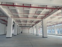 高速路口原房东三楼全新重工业红本厂房带牛角和5吨货梯低价租